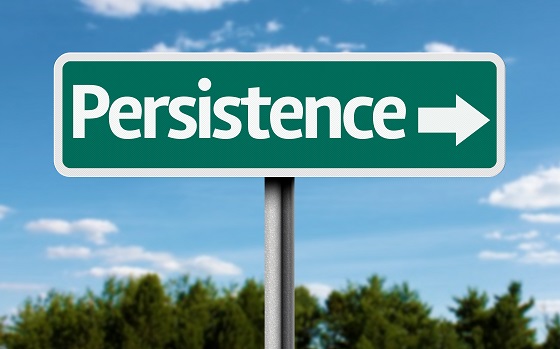 persistence_assessment_collection